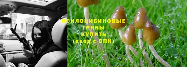 крисы Балахна