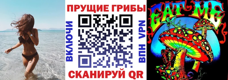 Галлюциногенные грибы мухоморы  Губаха 