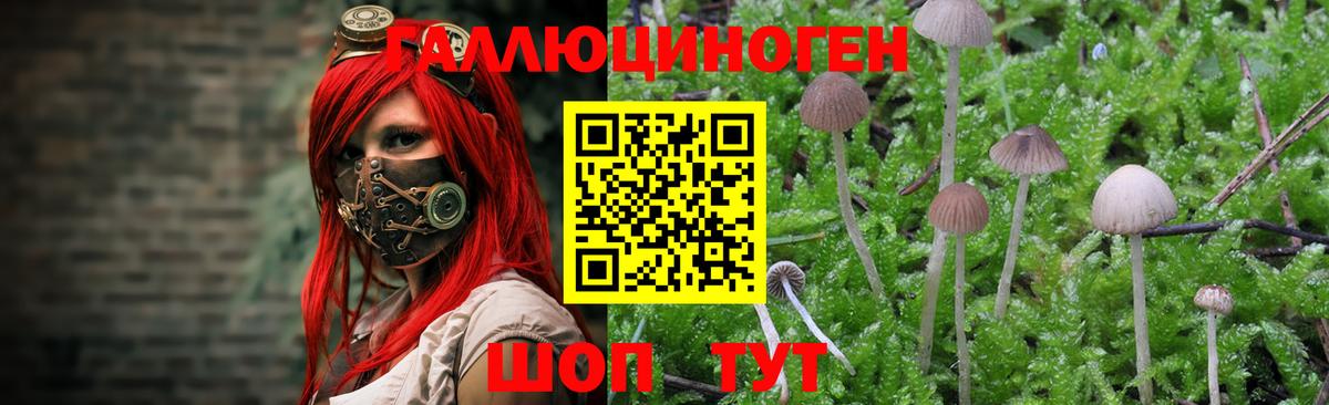 Псилоцибиновые грибы мухоморы  Вход с VPN  Псилоцибиновые грибы Magic Shrooms  Губаха 